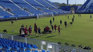 Momento del entrenamiento del Real Zaragoza en que Paulino ha quedado tendido en el c&eacute;sped. Foto: M.G.