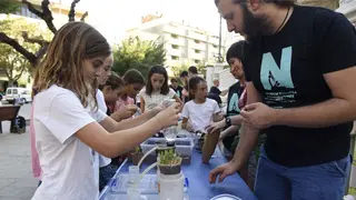 Huesca
