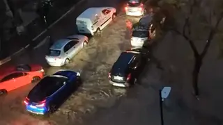 Im&aacute;genes de los estragos de la tormenta en el barrio de Torrero, este domingo en Zaragoza.