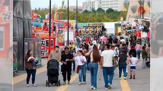 ferias