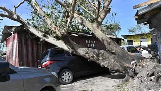 Vista general este mi&eacute;rcoles, 29 de octubre, un veh&iacute;culo afectado por la ca&iacute;da de un &aacute;rbol, tras el paso del hurac&aacute;n Melissa, en la Parroquia de Saint Ann (Jamaica). EFE/Rudolph Brown