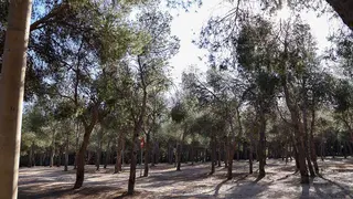 pinares-venecia-parque-atracciones-protestas-vecinales-zaragoza
