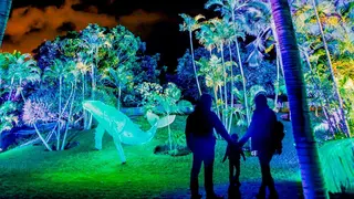 La alcaldesa de Zaragoza, Natalia Chueca, ha defendido la legalidad del espect&aacute;culo Boreal en el Parque Grande Jos&eacute; Antonio Labordeta.