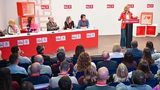 Pilar Alegr&iacute;a durante su intervenci&oacute;n en el Comit&eacute; Regional del PSOE. Foto: Jos&eacute; D. Valero
