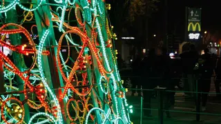 arbol