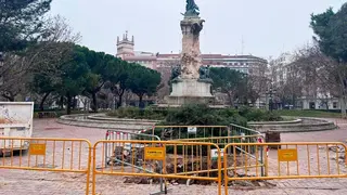 vallado-plaza-sitios-zaragoza-tala-&aacute;rboles-pinos