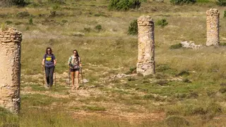 camino-de-los-pilones