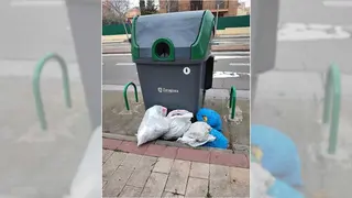basura-contenedor-montecanal-multas-zaragoza