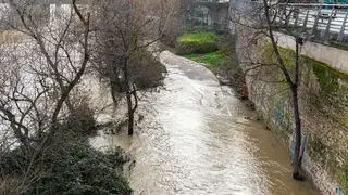 Crecida del Ebro a su paso por Zaragoza. Foto: Jerome Esteban