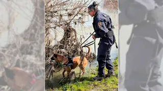Los GEO de la Polic&iacute;a Nacional se han reincorporado esta semana a la b&uacute;squeda de Pablo Cebolla en Zaragoza.