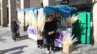 palmas