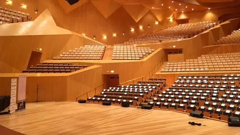 El concierto se celebrar&aacute; en la Sala Mozart de Zaragoza