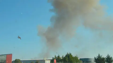 Todo apunta a que el foco procede de un terreno agr&iacute;cola pr&oacute;ximo a la zona