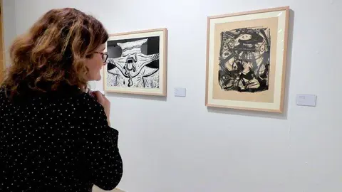 La muestra puede visitarse hasta el pr&oacute;ximo 24 de mayo en Ibercaja Patio de la Infanta
