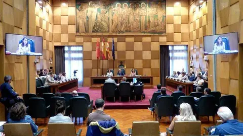No habr&aacute; declaraci&oacute;n institucional en el pr&oacute;ximo Pleno por el desacuerdo de Vox