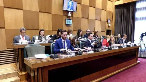 La implicaci&oacute;n en actividades referidas al D&iacute;a Inernacional de la Mujer ha contado con el respaldo mayoritario del Pleno y &uacute;nicamente Vox ha votado en contra