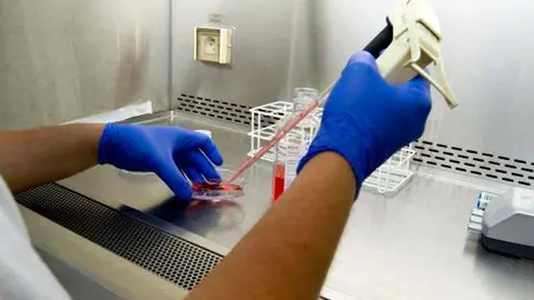 La Universidad de Zaragoza ha ofrecido la colaboraci&oacute;n de hasta 90 t&eacute;cnicos e investigadores con experiencia y disponibles para dar apoyo diagn&oacute;stico
