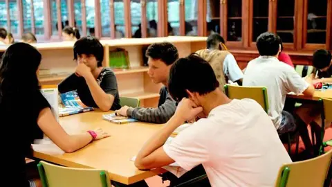 La consejer&iacute;a ve aconsejable  no avanzar en materia, pero que s&iacute; se incluya en el temario conceptos "clave" vinculados al tercer trimestre