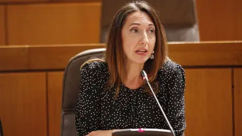 De la Puente ha reconocido que la llegada de ERTE en marzo fue un escenario "muy dif&iacute;cil de abordar"
