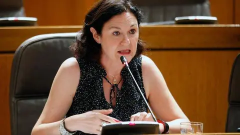 La responsable de Planificaci&oacute;n ha detallado las l&iacute;neas de trabajo que la Comunidad estudia ahora implementar para la reactivaci&oacute;n econ&oacute;mica