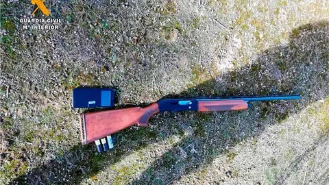 Los agentes recibieron varias llamadas alertando de los hechos y una patrulla del Seprona de Casetas acudi&oacute; al lugar