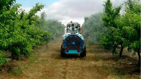 M&aacute;s de 1.500 j&oacute;venes se han incorporado en los &uacute;ltimos cinco a&ntilde;os a este modelo de agricultura familiar