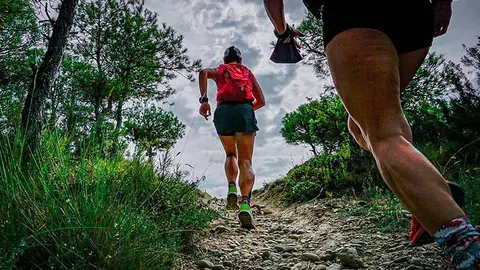 Se proponen recorridos de unos 20 kil&oacute;metros, por las sierras de todo Arag&oacute;n