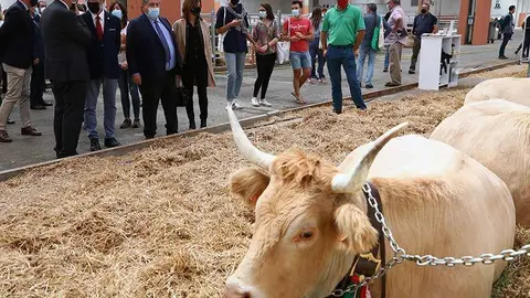 Se trata del primer gran sal&oacute;n profesional en a&ntilde;o y medio