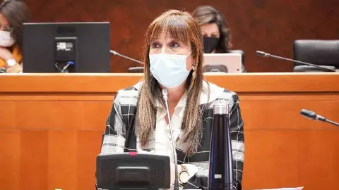 La consejera ha reconocido en todo momento que hay recursos m&aacute;s costosos en seg&uacute;n qu&eacute; territorios, una cuesti&oacute;n con la que &ldquo;tenemos que jugar&rdquo; ya que &ldquo;nuestra comunidad es as&iacute;&rdquo;