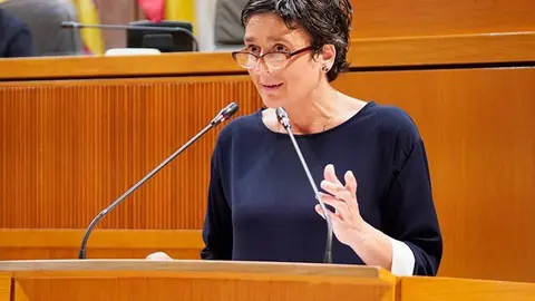 La portavoz de Sanidad del PP ha se&ntilde;alado que el recorte del presupuesto del Gobierno de Lamb&aacute;n en Sanidad repercute claramente en el servicio