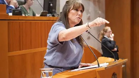 La consejera de Sanidad, Sira Repoll&eacute;s, durante su intervenci&oacute;n. Foto: Cortes de Arag&oacute;n 