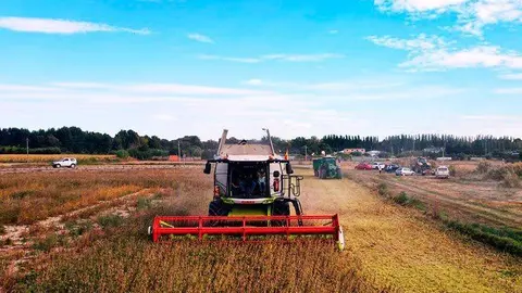 La Consejer&iacute;a ha impulsado la nueva Ley de Dinamizaci&oacute;n del Medio Rural