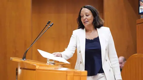 La portavoz de Hacienda del PP, Carmen Sus&iacute;n, ha insistido en las propuestas presentadas el pasado jueves