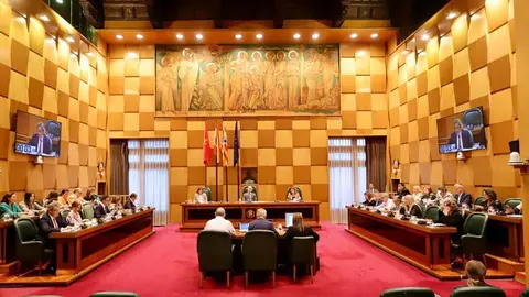 Pleno del Ayuntamiento de Zaragoza