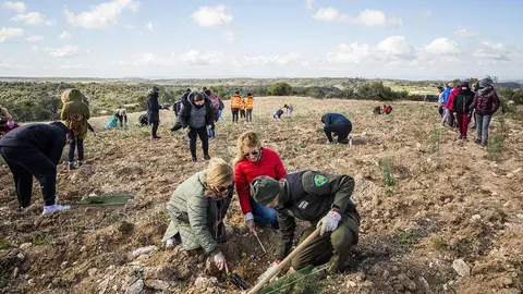 Vecinos plantando en el monte de Pe&ntilde;aflor