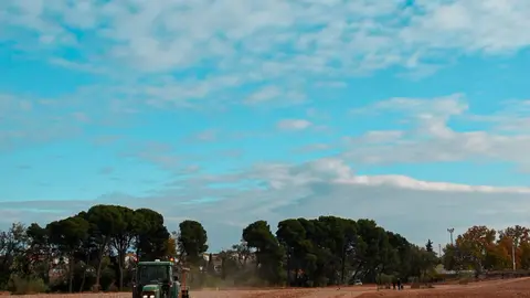 Plantaci&oacute;n de flores y hierbas

