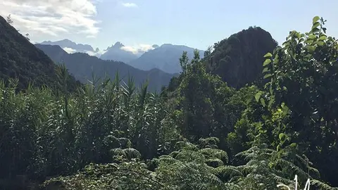 Camino de Porto da Cruz. Madeira