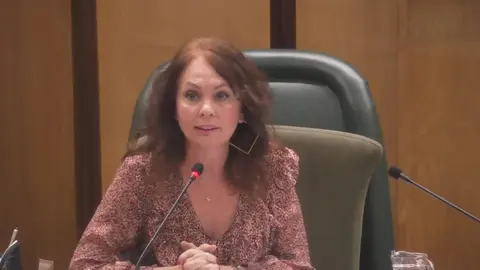 La responsable de Econom&iacute;a del Ayuntamiento de Zaragoza, Carmen Herrarte, en el momento de sus declaraciones contra la ministra de Igualdad, Irene Montero