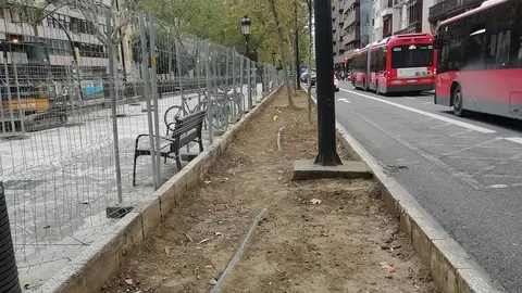 Alcorques sin vegetaci&oacute;n en el paseo de Sagasta
