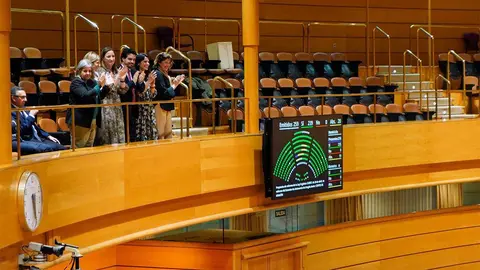 Una delegaci&oacute;n aragonesa, encabezada por la vicepresidenta primera de las Cortes, Mar&iacute;a Rodrigo, se ha desplazado hasta Madrid para presenciar el debate