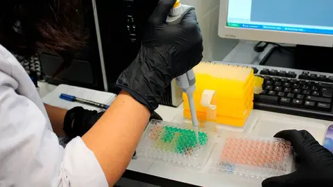 Ciencia