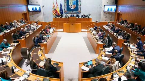 Las cuentas entrar&aacute;n en funcionamiento el 1 de enero, como ha sido la t&oacute;nica habitual del cuatripartito en esta legislatura