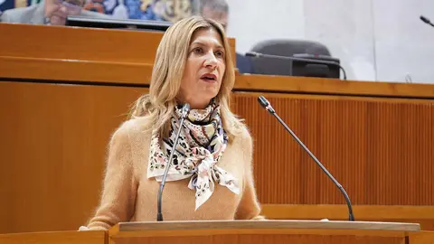 Afean a Goikoetxea que su &uacute;nica experiencia sea "ser activista del 8M"
