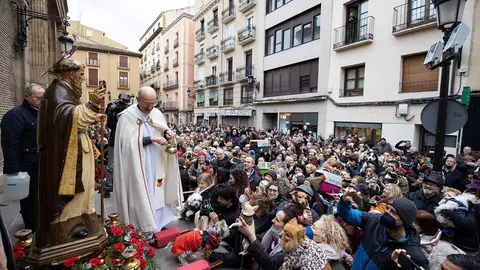 Festividad San Ant&oacute;n 