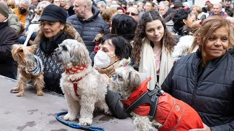 Animales celebrando San Ant&oacute;n