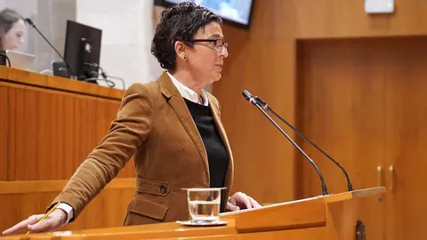 El PP dice que no conoce el documento que presentar&aacute; Lamb&aacute;n el lunes 