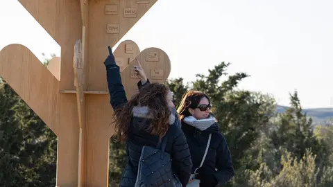 &Aacute;rbol simb&oacute;lico El Bosque de los Zaragozanos