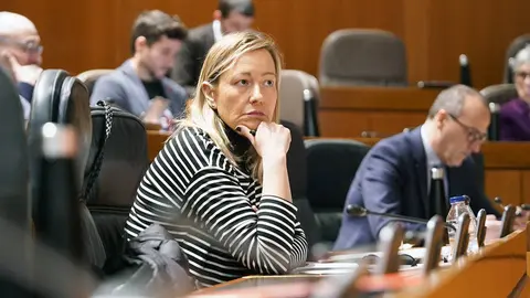 La consejera ha recordado las &ldquo;astron&oacute;micas cantidades&rdquo;, m&aacute;s de 166.000 millones de euros, que llegar&aacute;n a Espa&ntilde;a procedentes de la Uni&oacute;n Europea