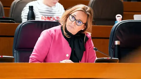 P&eacute;rez no ha dudado de que el PAR ha sido clave para dar &ldquo;estabilidad&rdquo; al Ejecutivo en esta legislatura