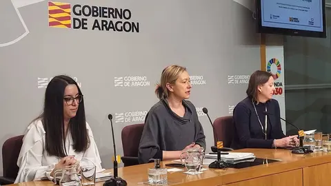 Gast&oacute;n en rueda de prensa